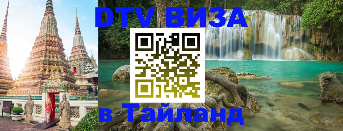 Оформление DTV визы под ключ: стоимость и тарифы, только загранпаспорт - 19.11.2025 